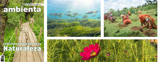 La revista Ambienta dedica su número de marzo a las Soluciones basadas en la Naturaleza